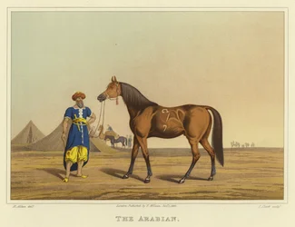 Arabisch